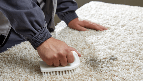 Professional Rug Cleaning Breakwater