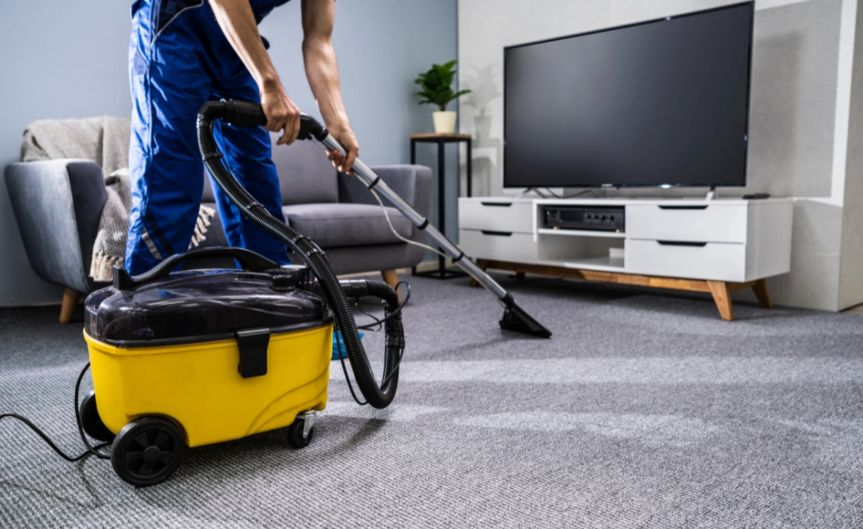 Extract Rug Cleaning Breakwater Contact Office